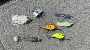 What Lures Were Throwing in October