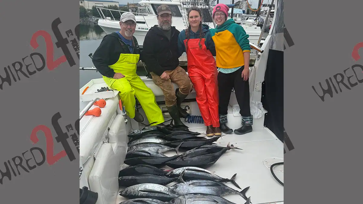 A haul of albacore tuna out of Sitka, Alaska