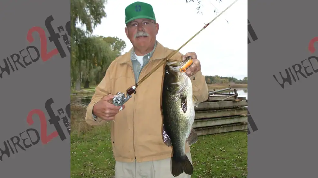 largemouth bass caught on antique lure