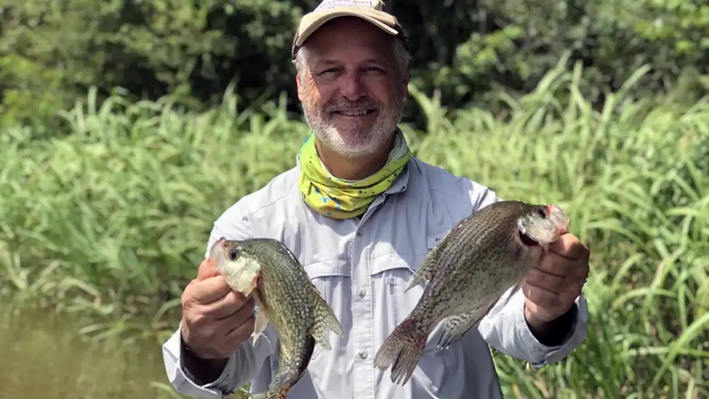 Louisiana crappie