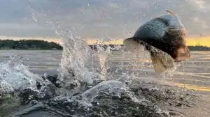 crappie jumping out of water