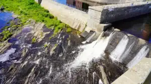 Maine’s Salmon Have Bright Future With Historic Dam Removals