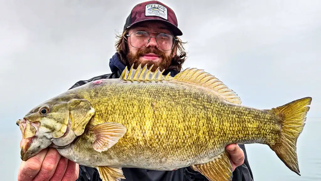 big smallmouth with golden colors