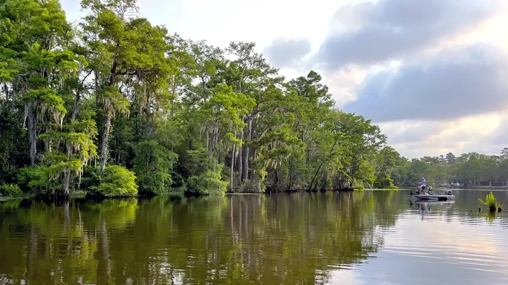 Tchefuncte River fishing