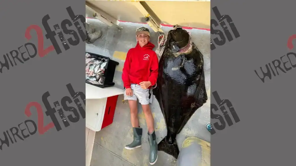 junior record Atlantic halibut