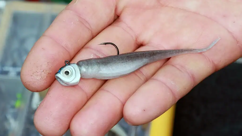 jig head with a plastic minnow