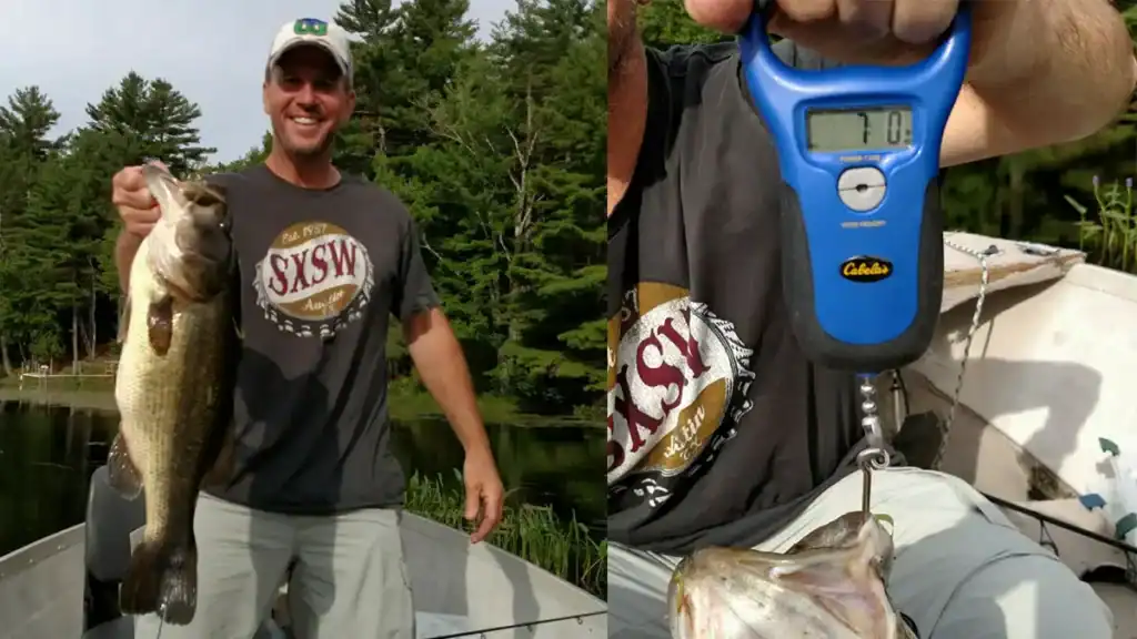 7 pound Maine largemouth bass