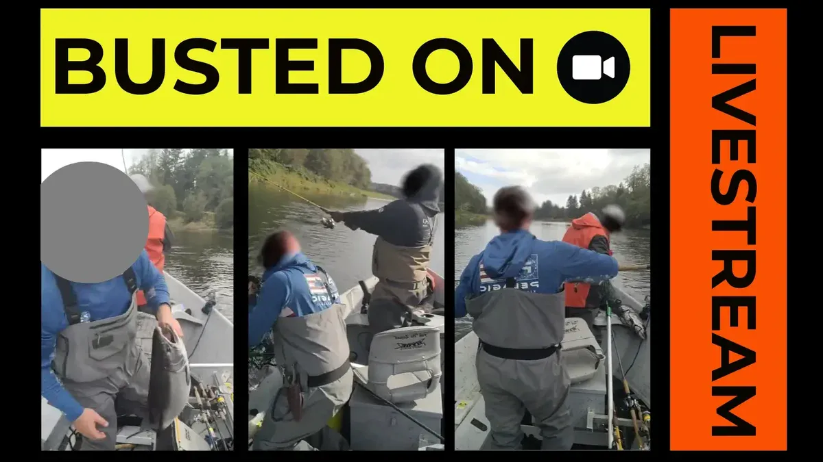 BUSTED-livestream