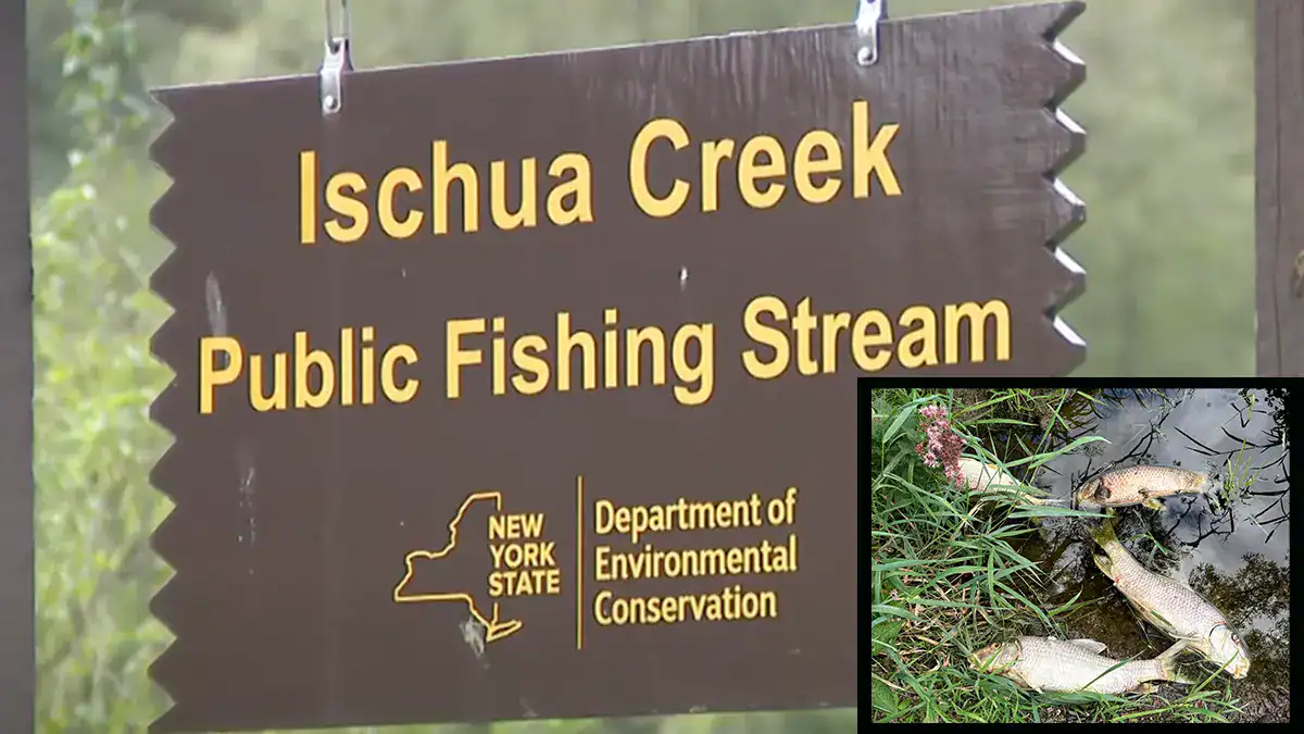 Cheese Factory Fined for damaging Ischau Creek