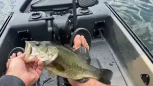 Old Town Sportsman 120 PDL Pro Review: A Customizable Fishing Kayak Workhorse