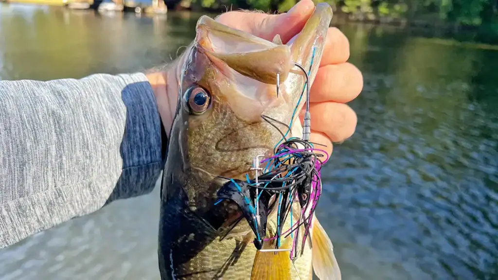 Berkley Toad Riveter Buzzbait