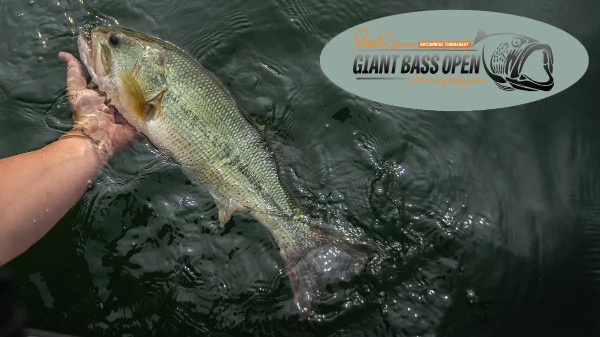 Giant Bass Open