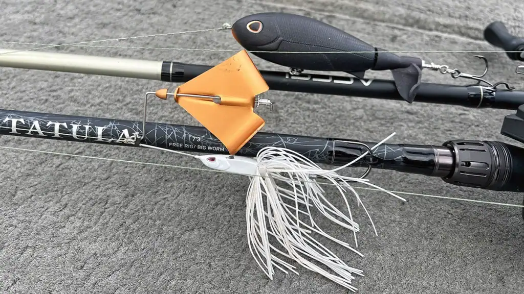 search baits