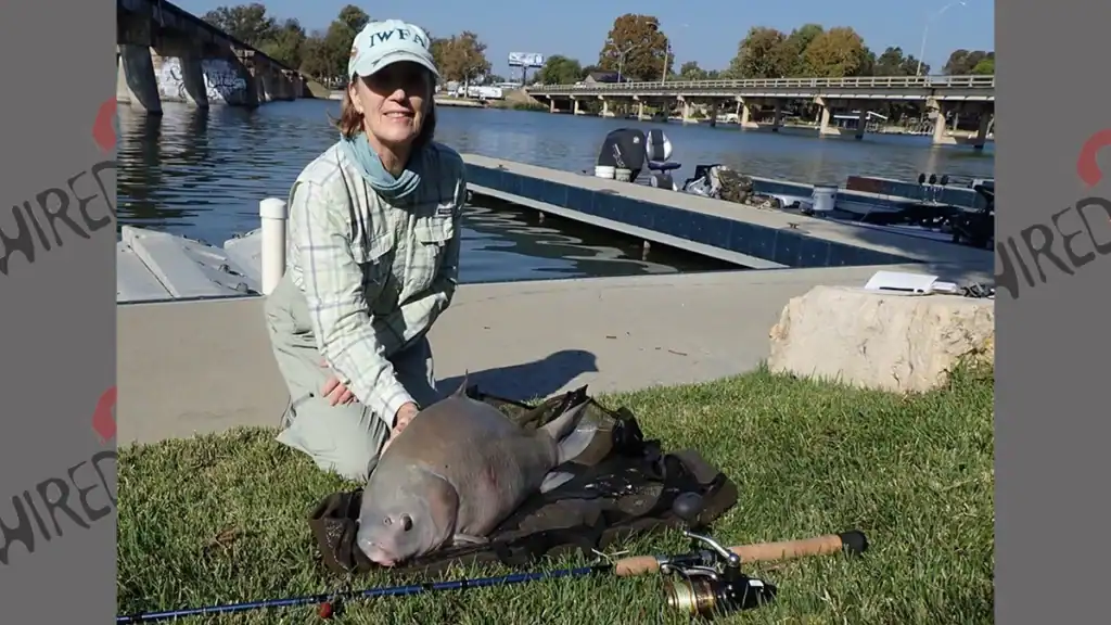 Smallmouth Buffalo